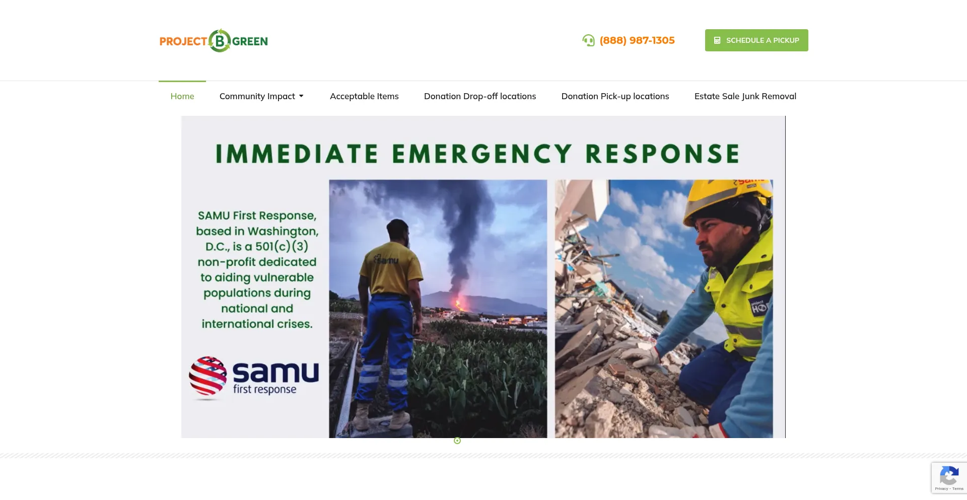 Website screenshot of Projectbgreen.com