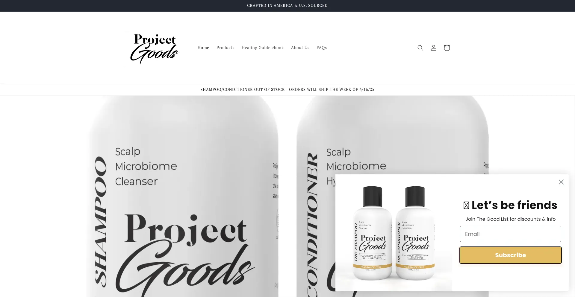 Website screenshot of Projectgoods.com