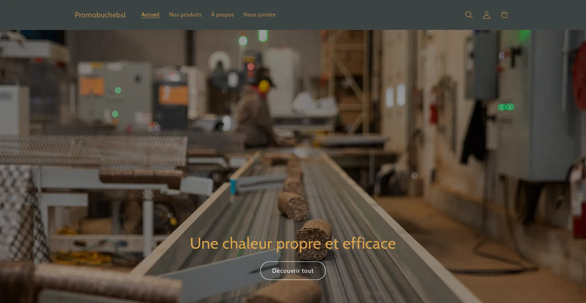 Website screenshot of Promobuchebsl.com
