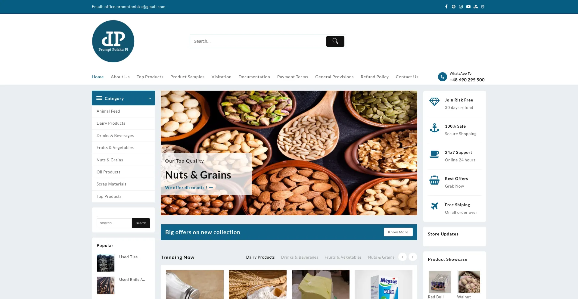 Website screenshot of Promptpolska.com