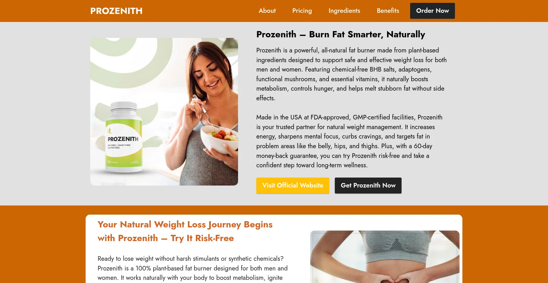 Website screenshot of Prozenithweb.com