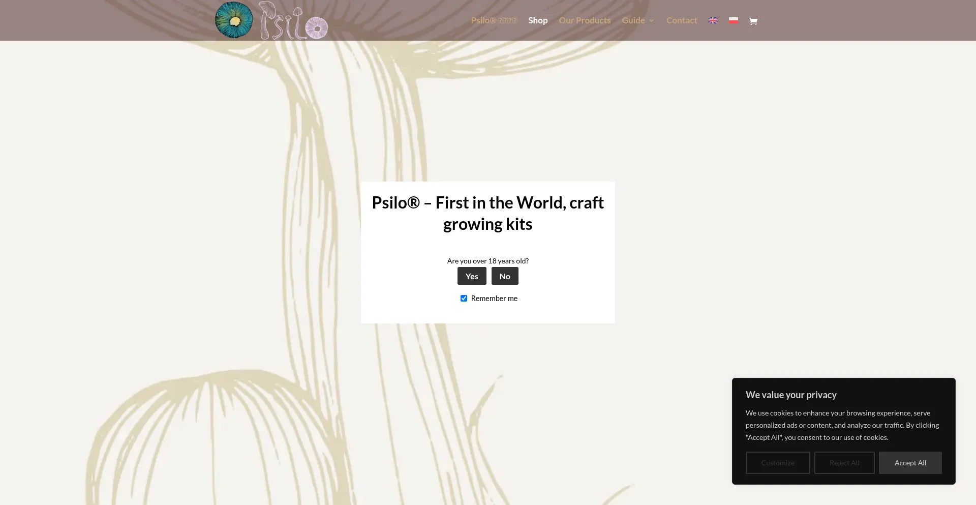 Website screenshot of Psilo.be