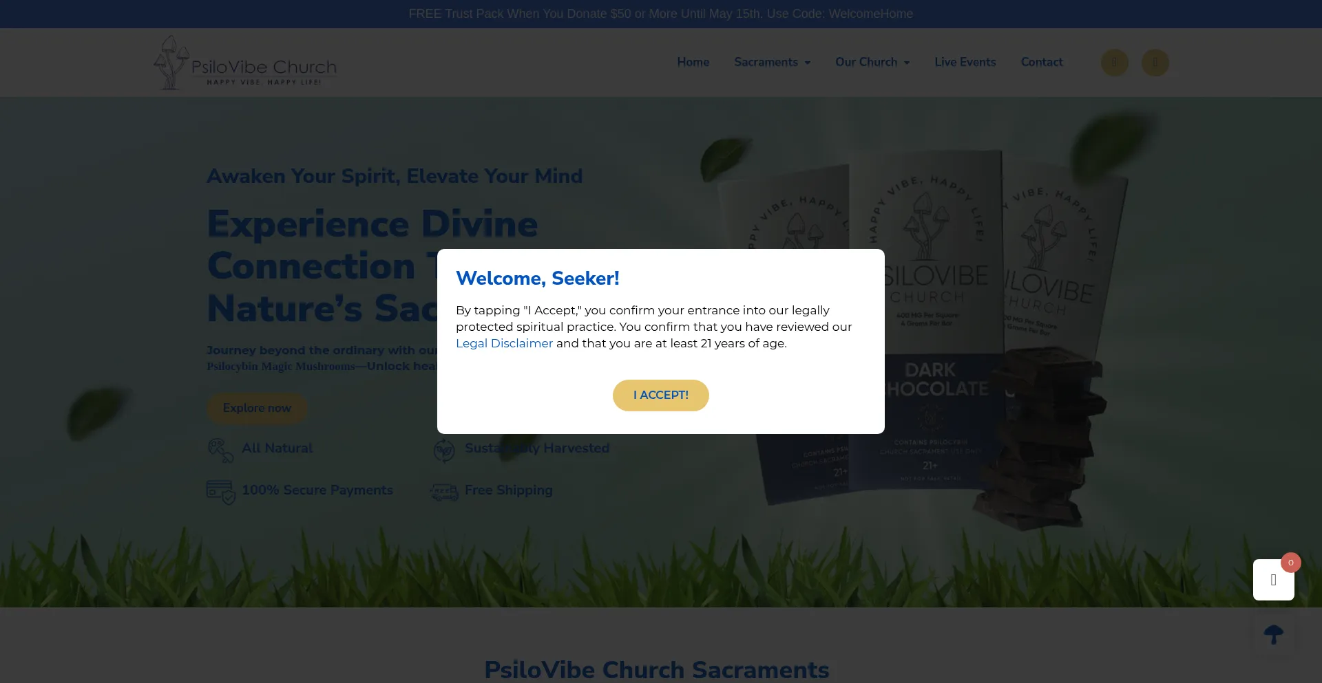 Website screenshot of Psilovibechurch.org
