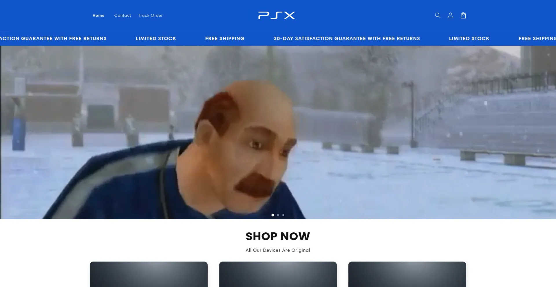 Website screenshot of Psxrevive.store