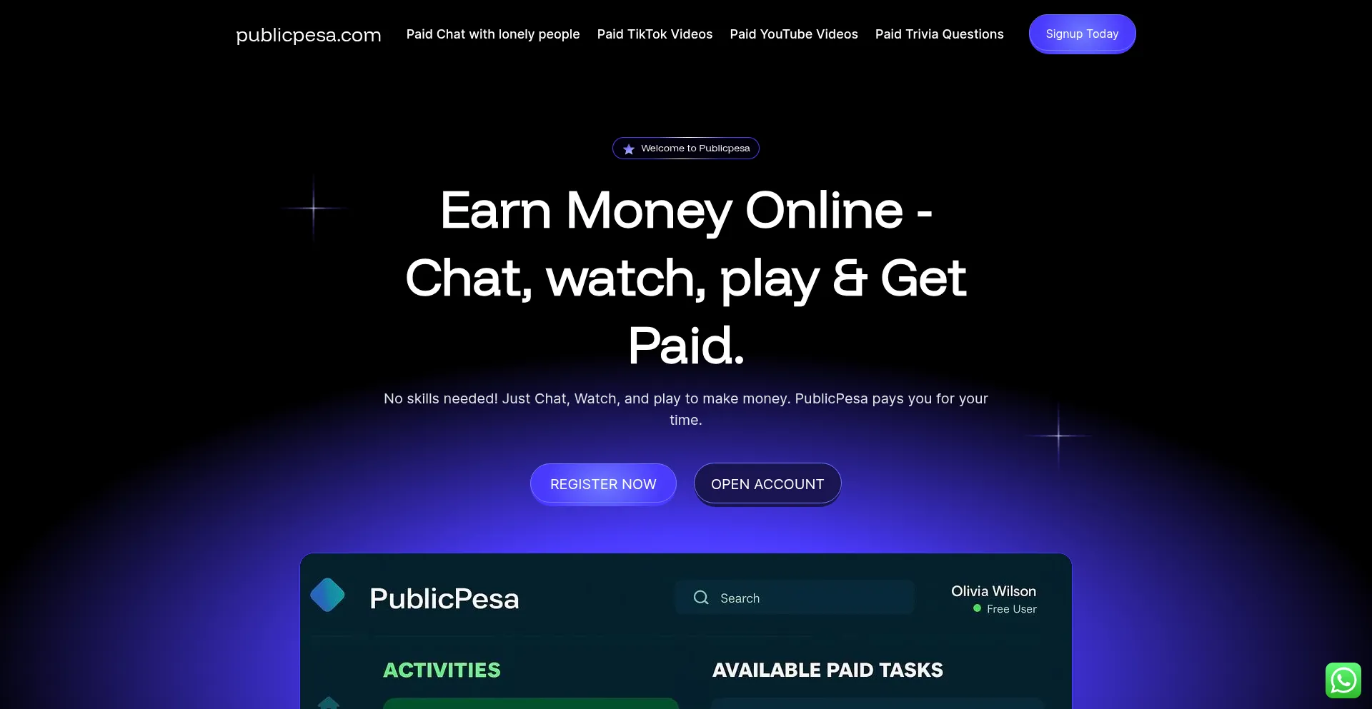 Website screenshot of Publicpesa.com