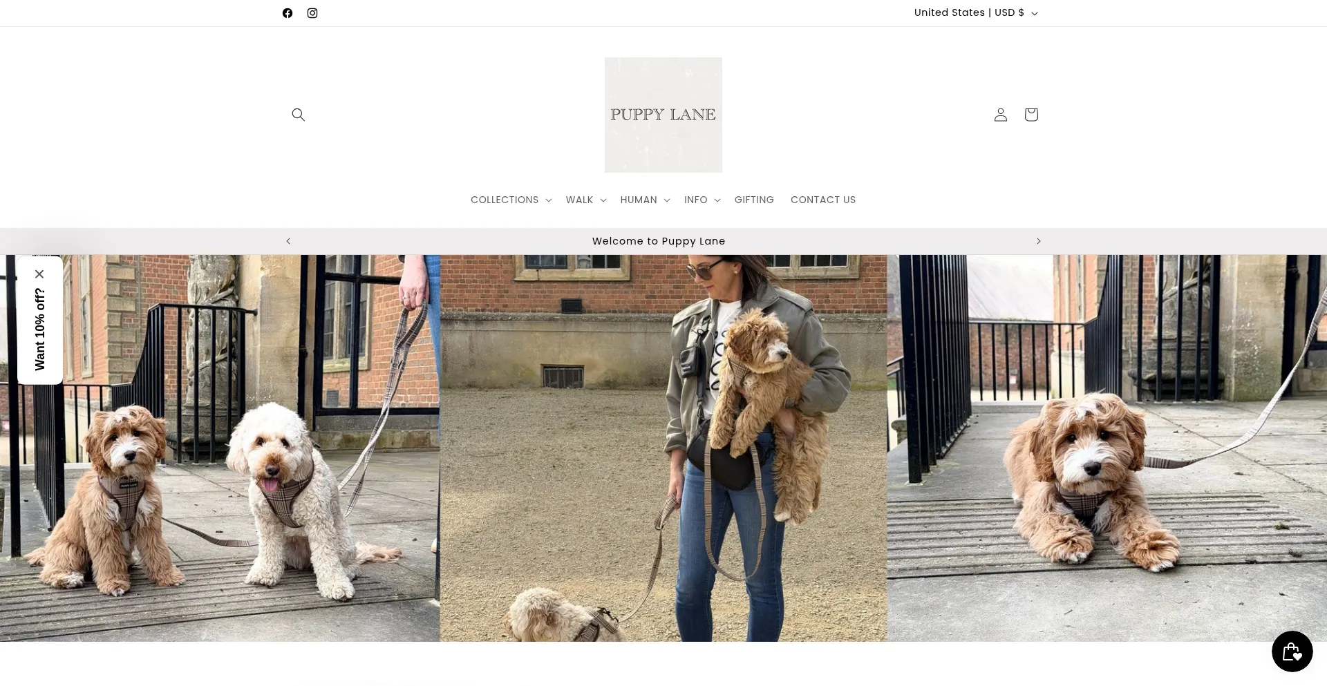 Puppylaneuk.co.uk