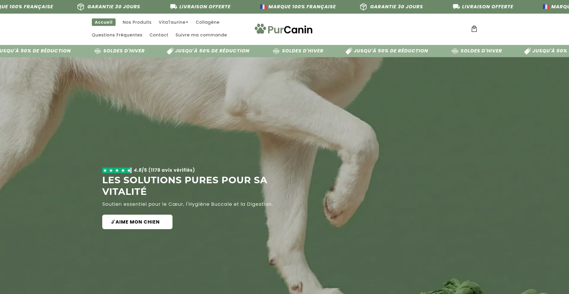 Purcanin.com
