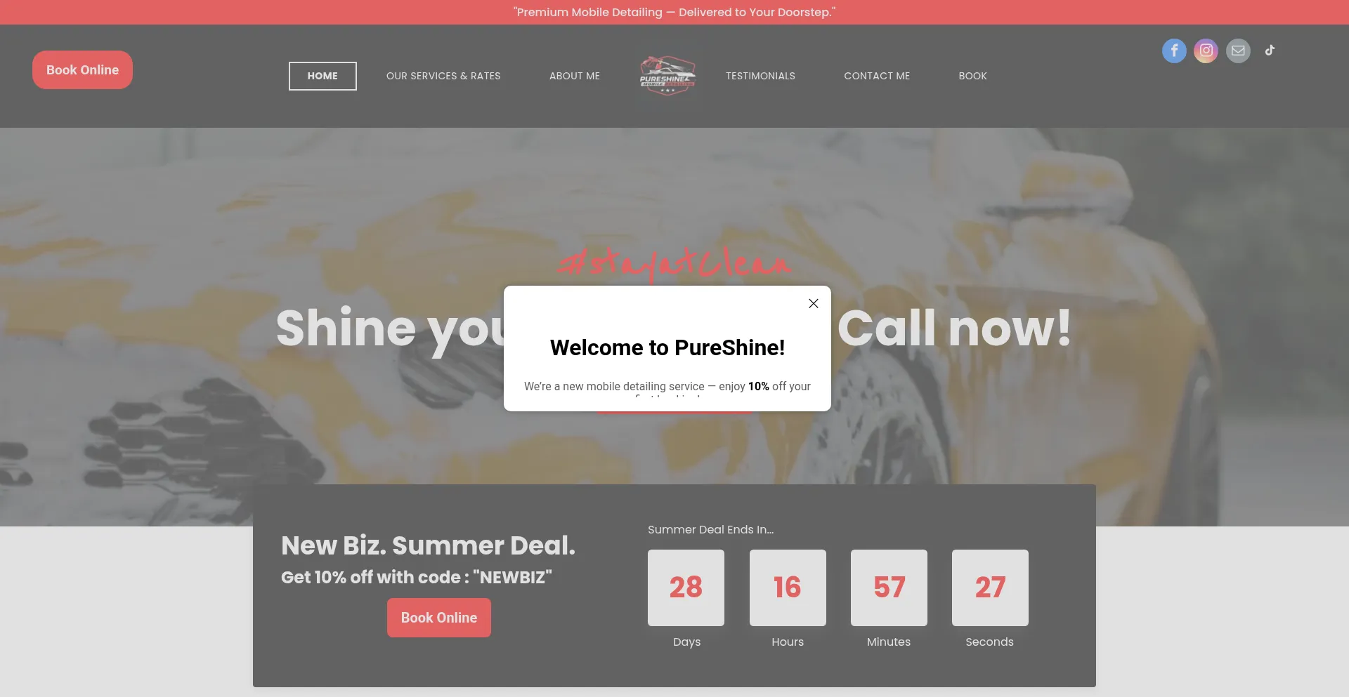 Website screenshot of Pureshinedetailing.net