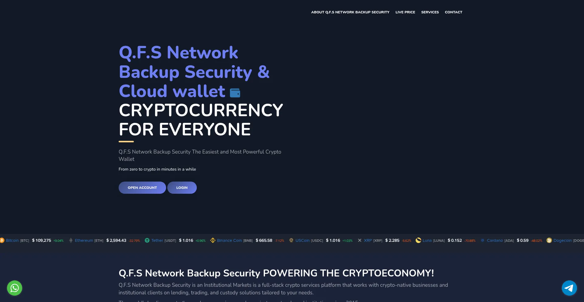Website screenshot of Qfsnetworkbackupsecurity.com