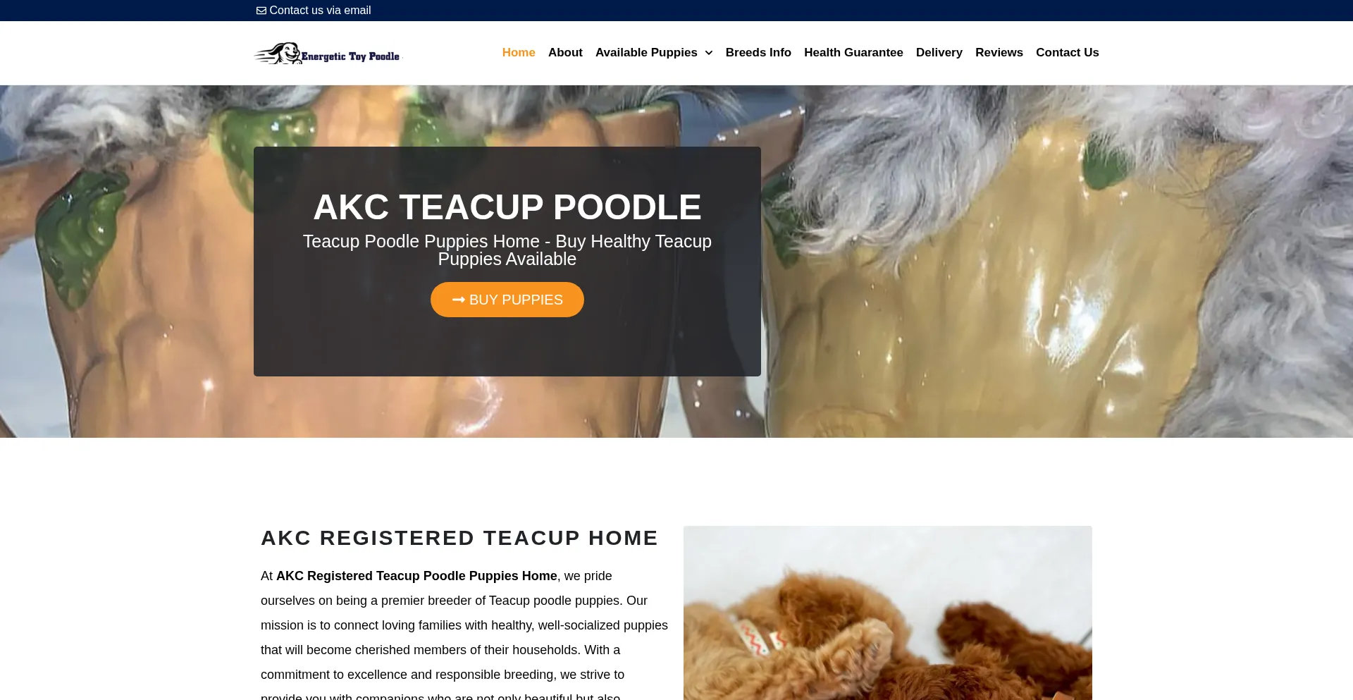 Qualityakctailwaggers.com
