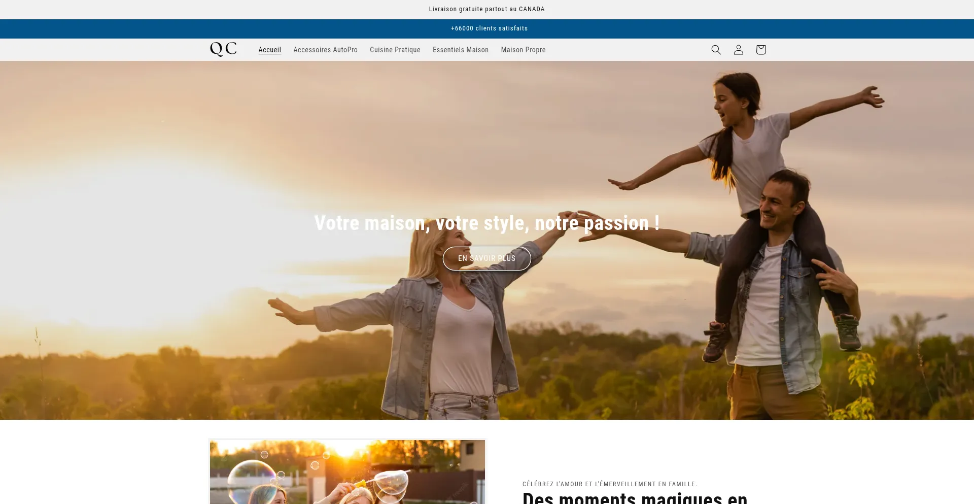 Website screenshot of Quebecool.com