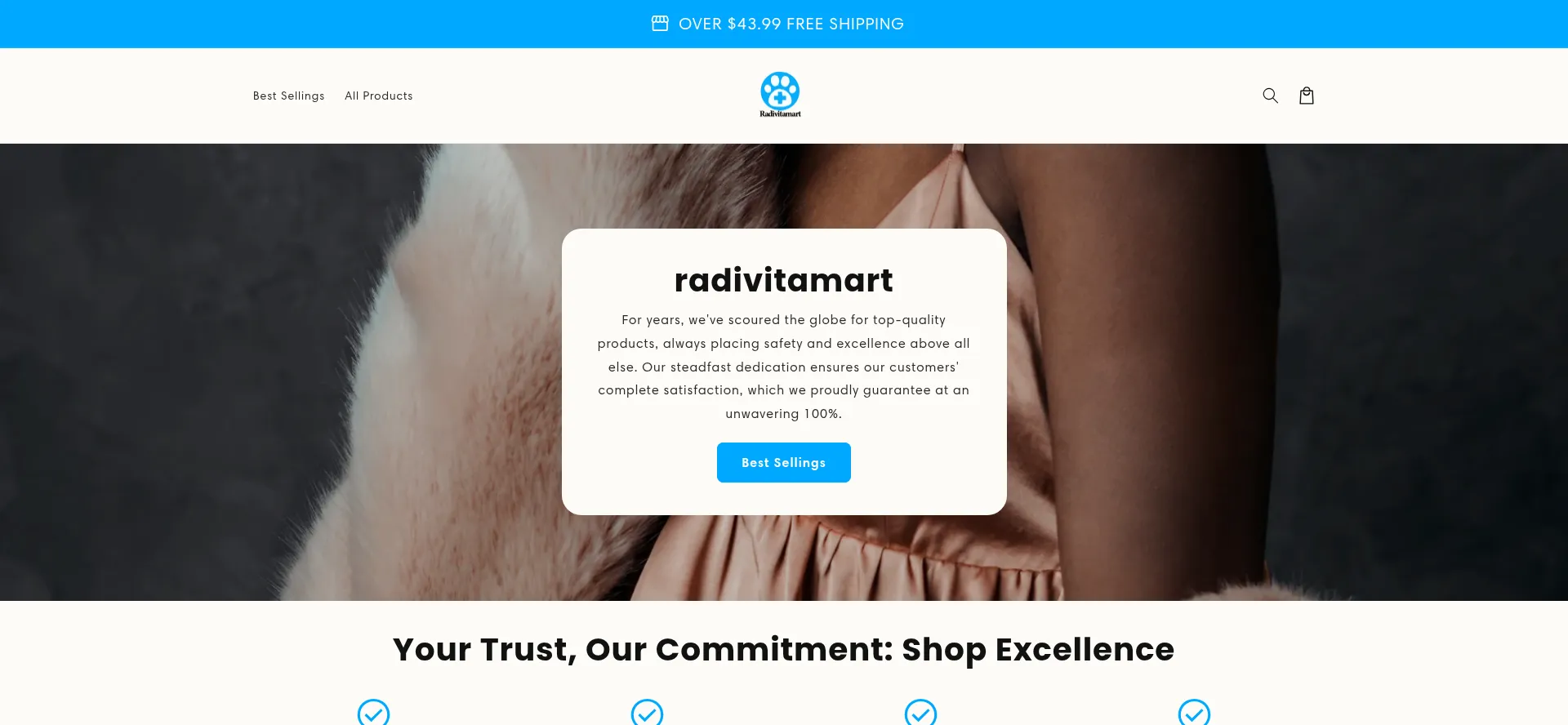 Website screenshot of Radivitamart.com