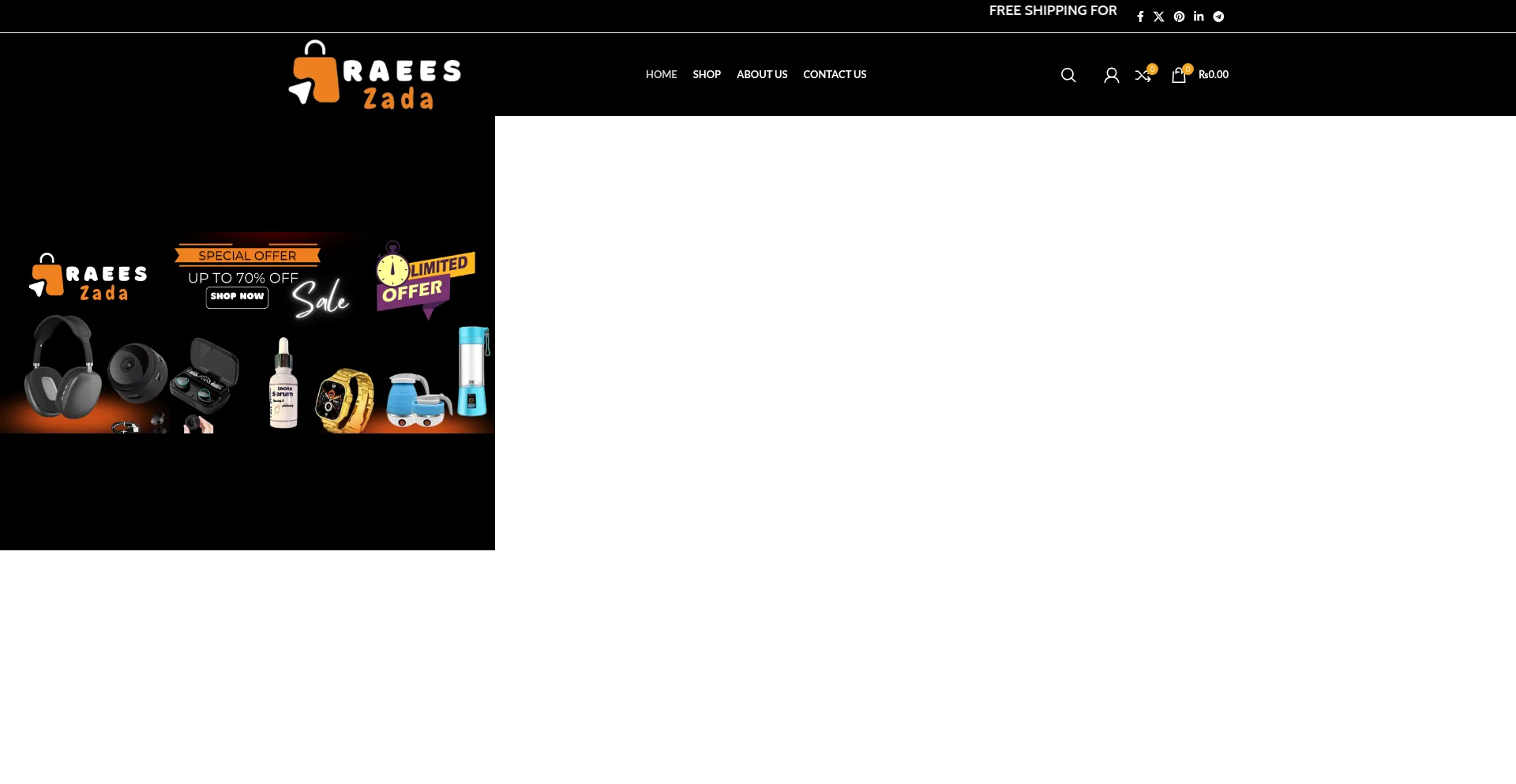 Website screenshot of Raeeszada.com