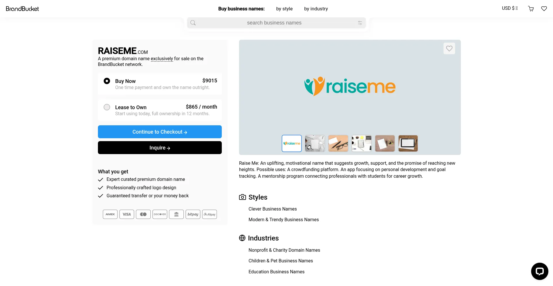 Website screenshot of Raiseme.com