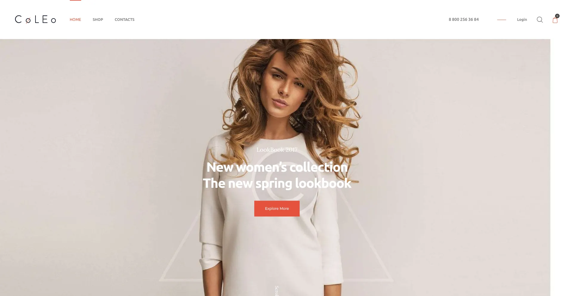 Website screenshot of Rapidfinil.store