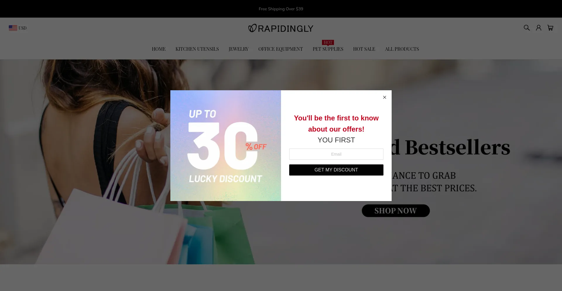 Website screenshot of Rapidingly.com