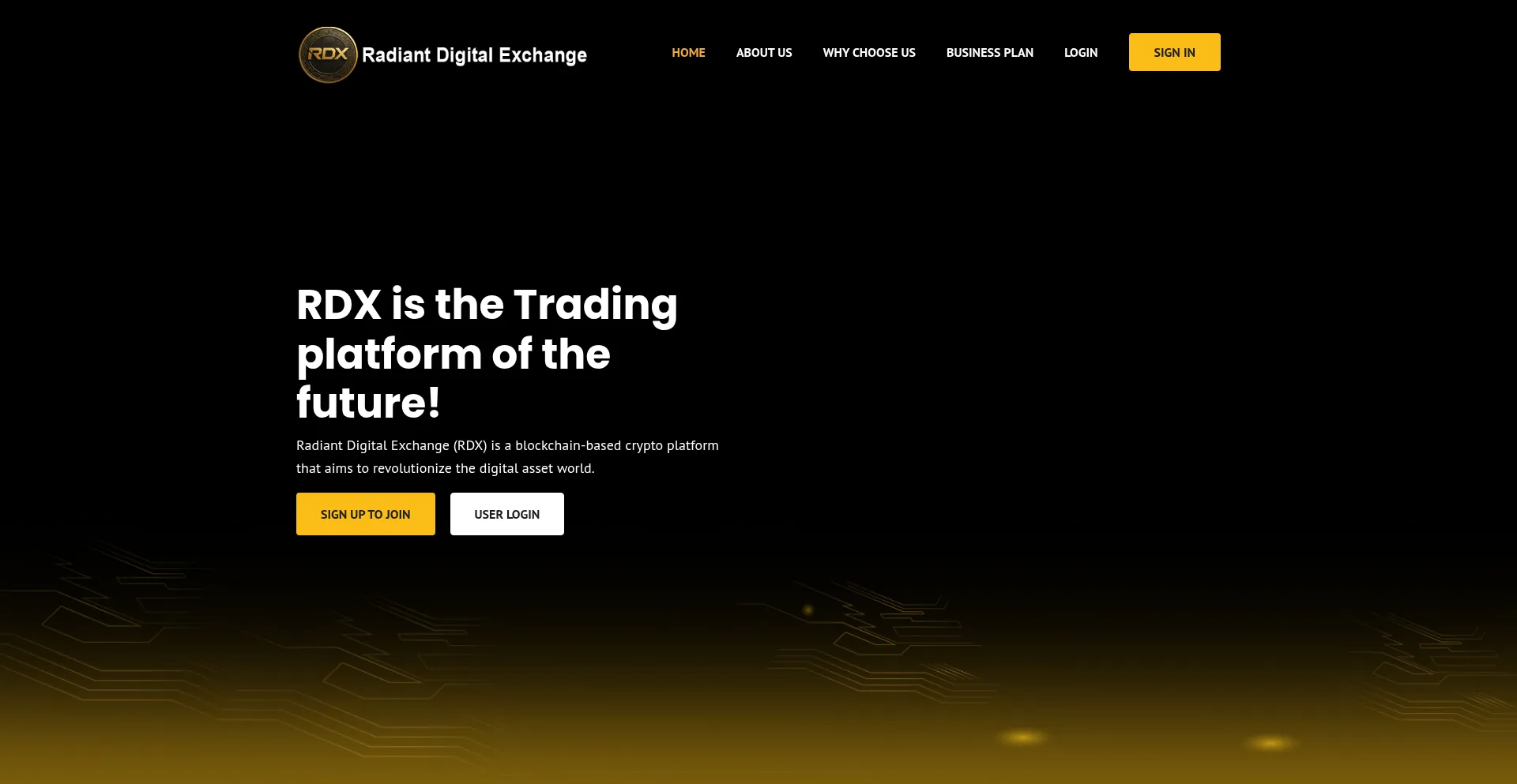 Website screenshot of Rdex.world