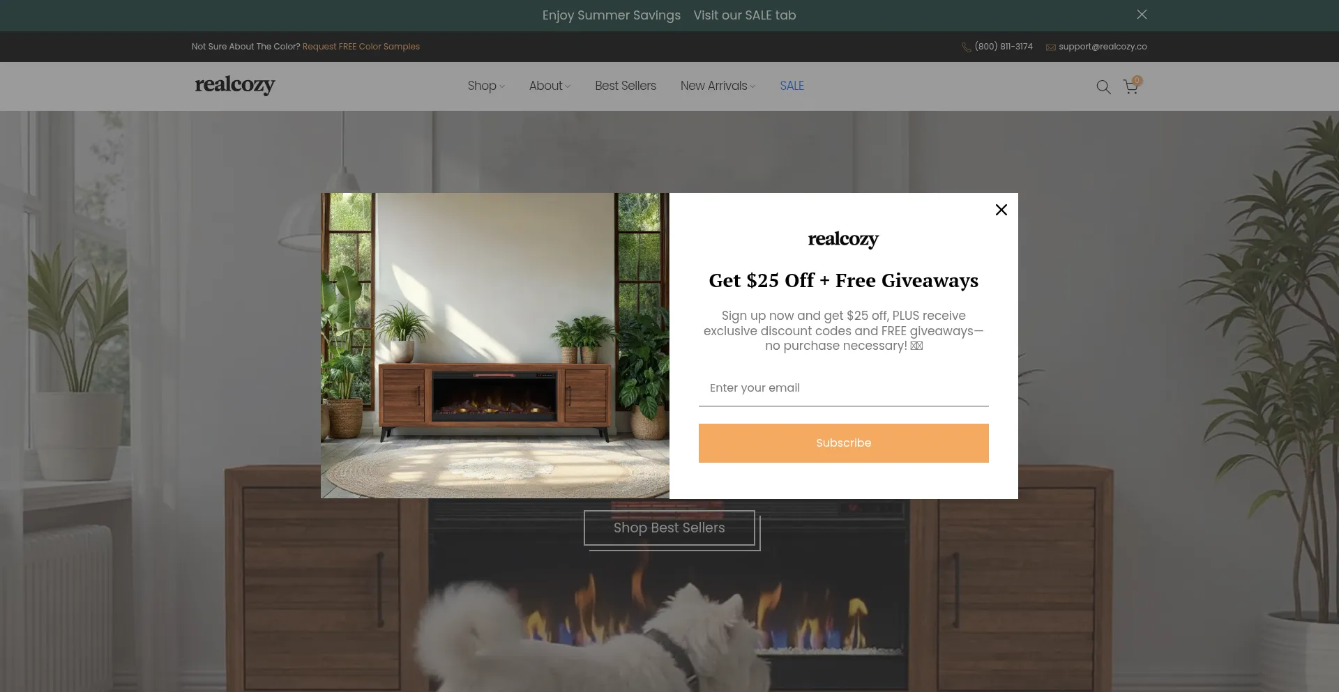 Website screenshot of Realcozy.co