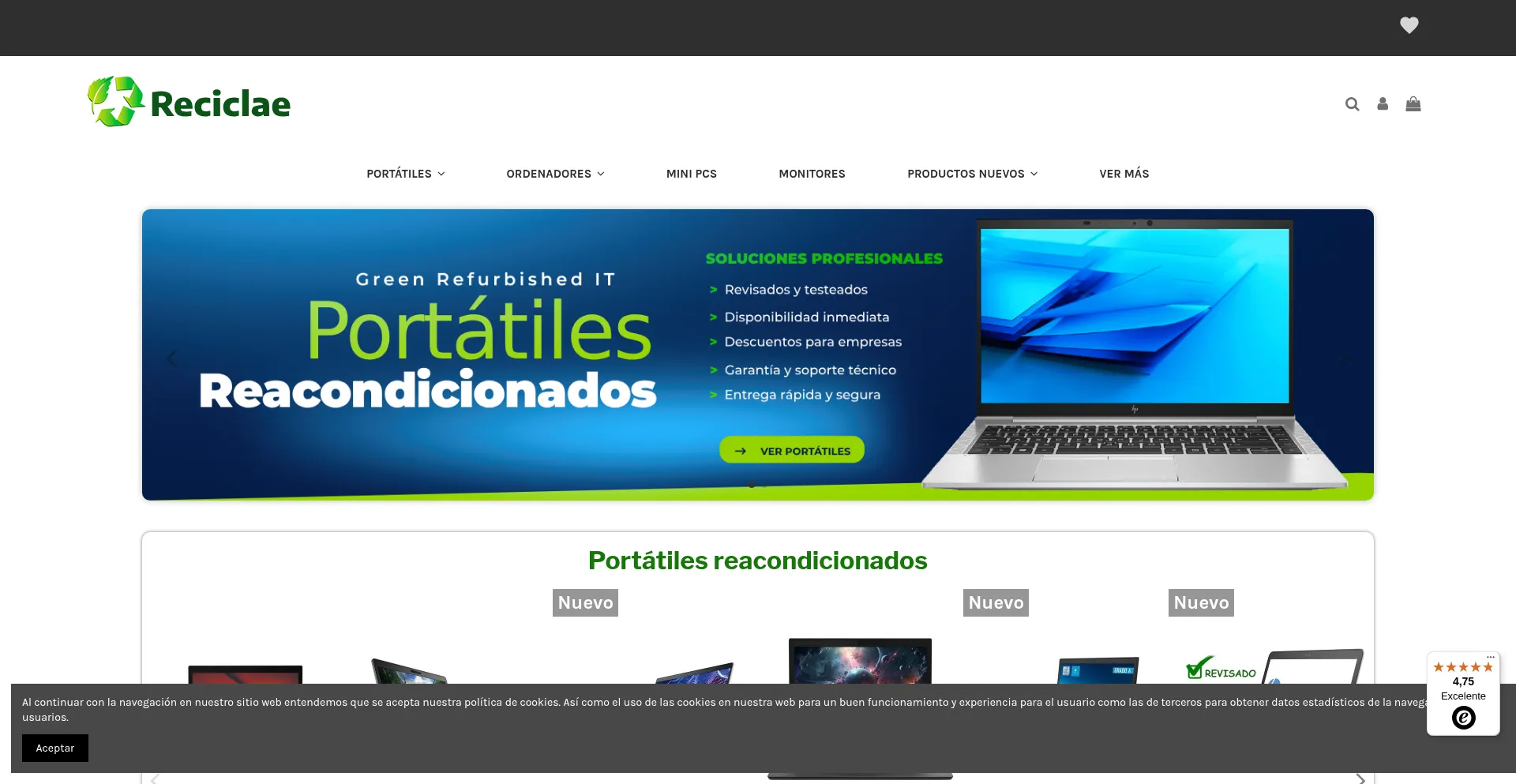Website screenshot of Reciclae.es