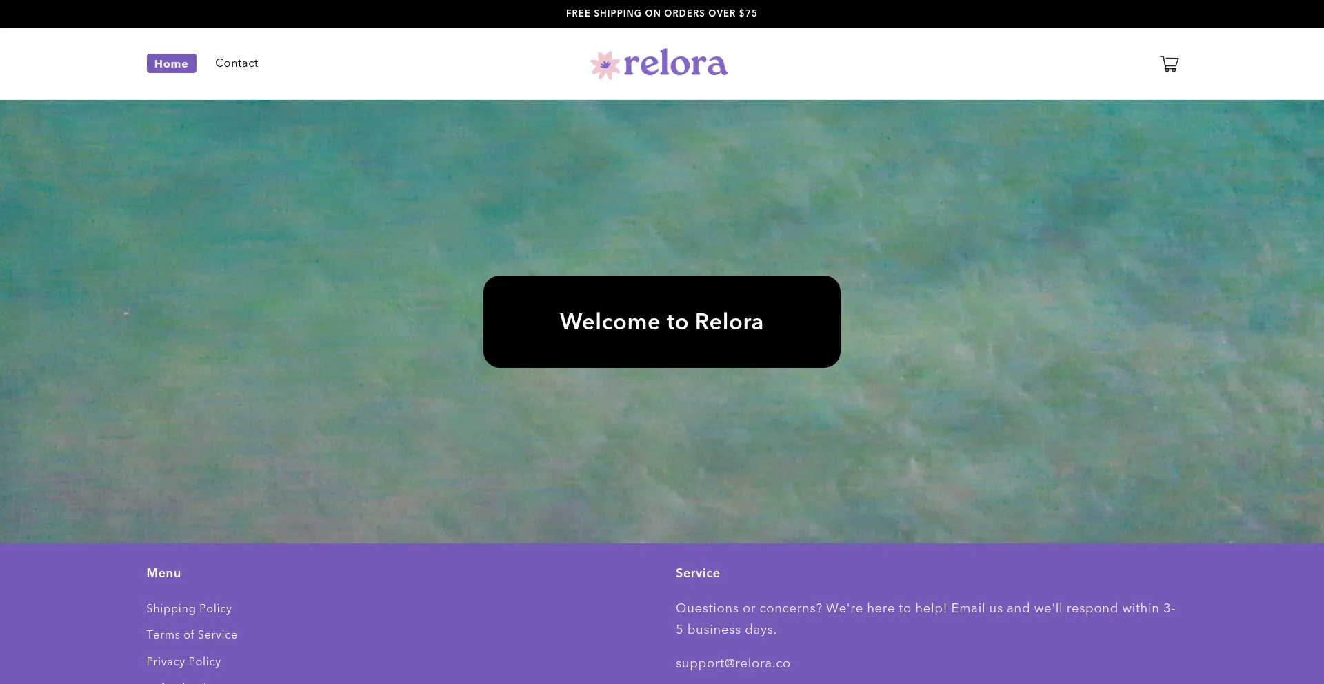 Website screenshot of Relora.co