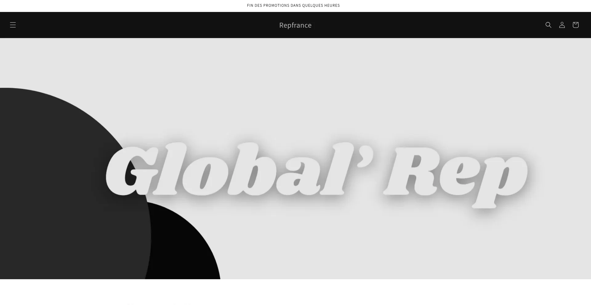 Website screenshot of Repfrance.store