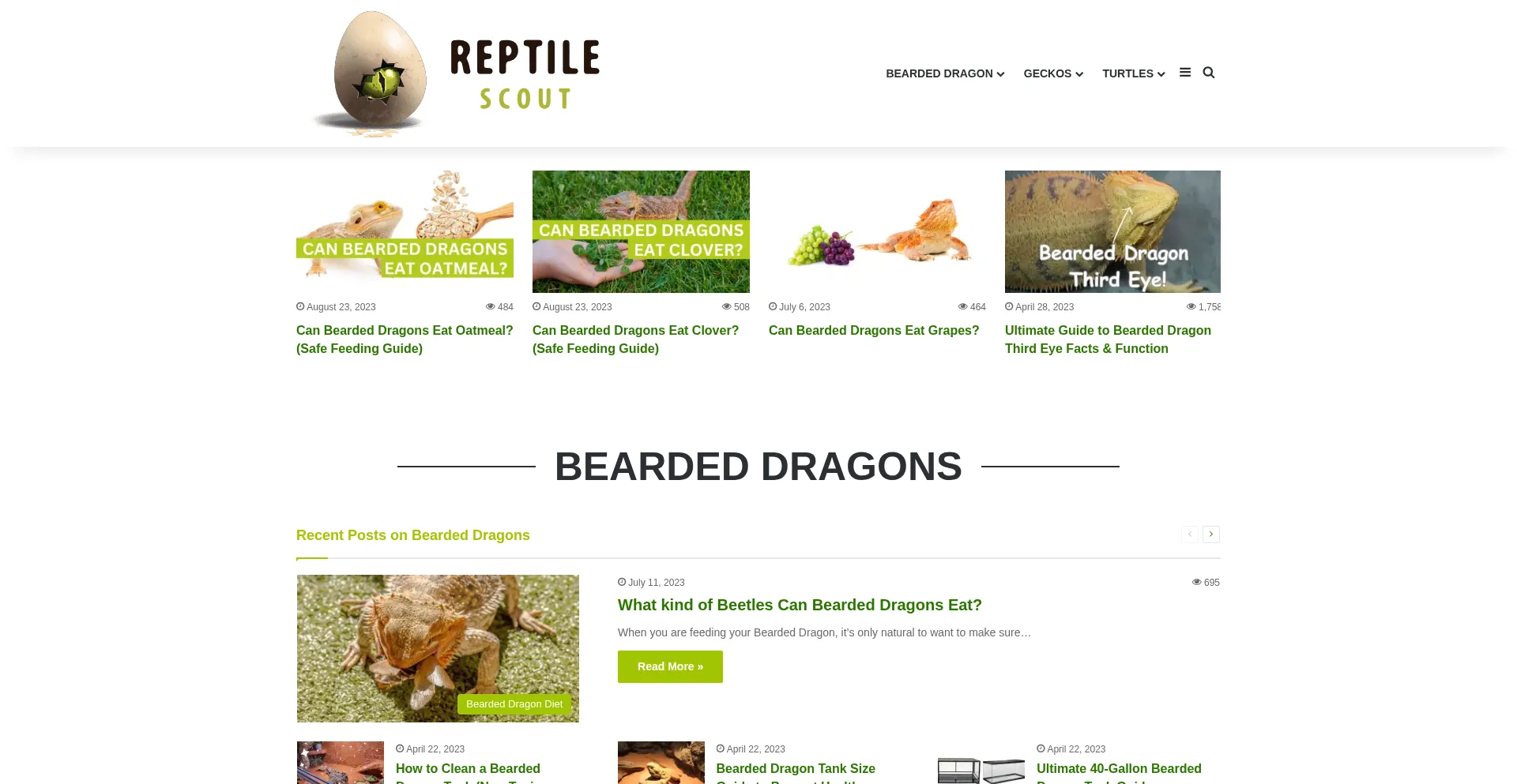 Reptiledork.com