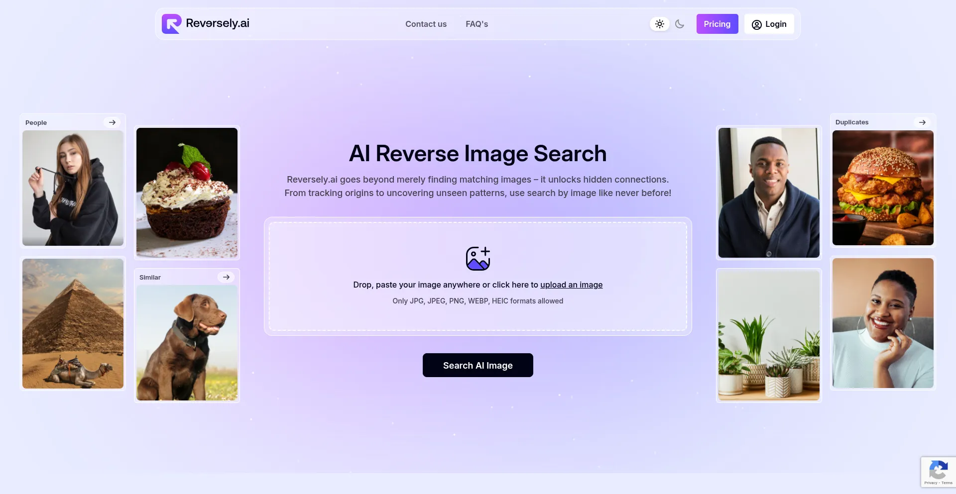 Website screenshot of Reversely.ai