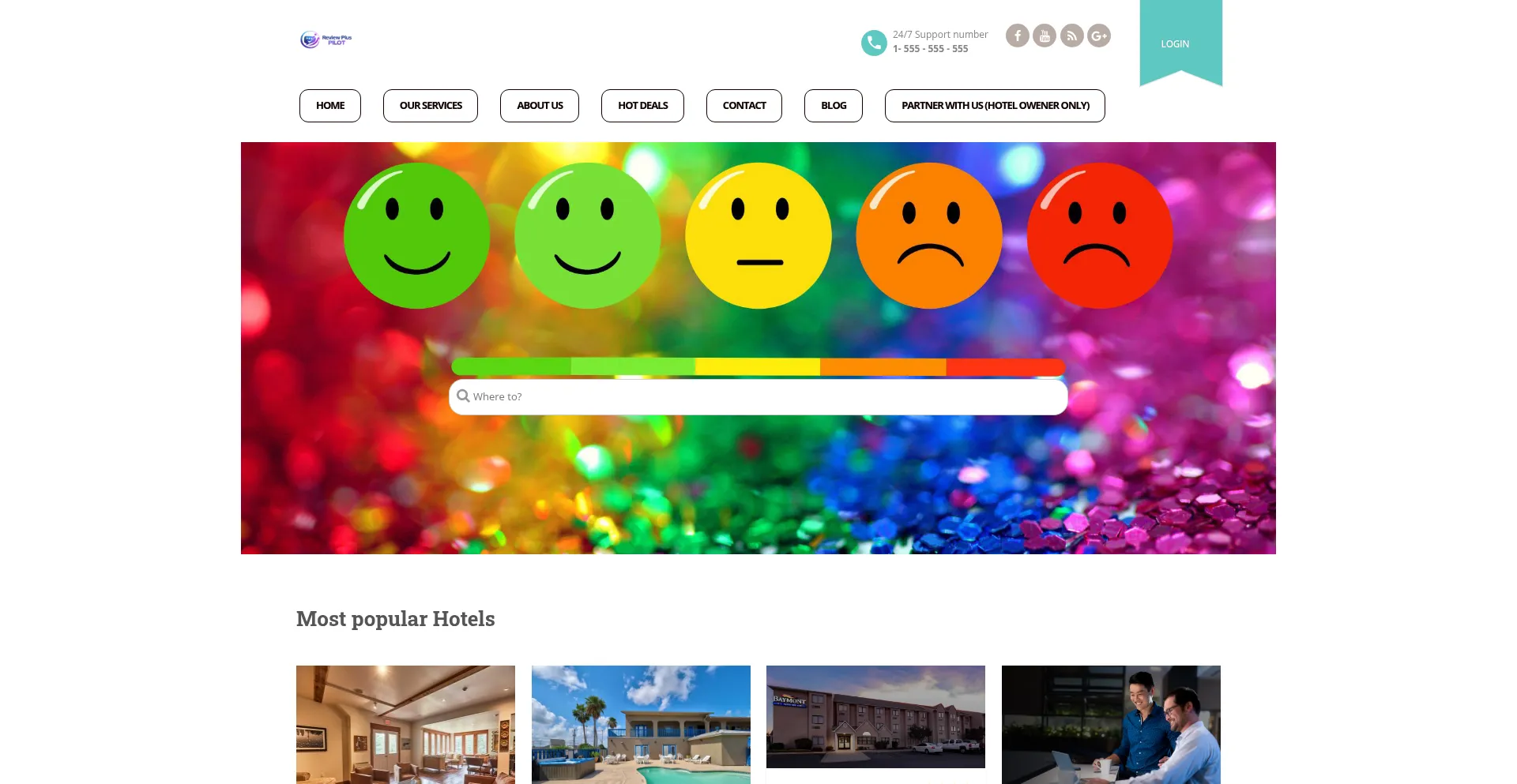 Reviewpluspilot.com