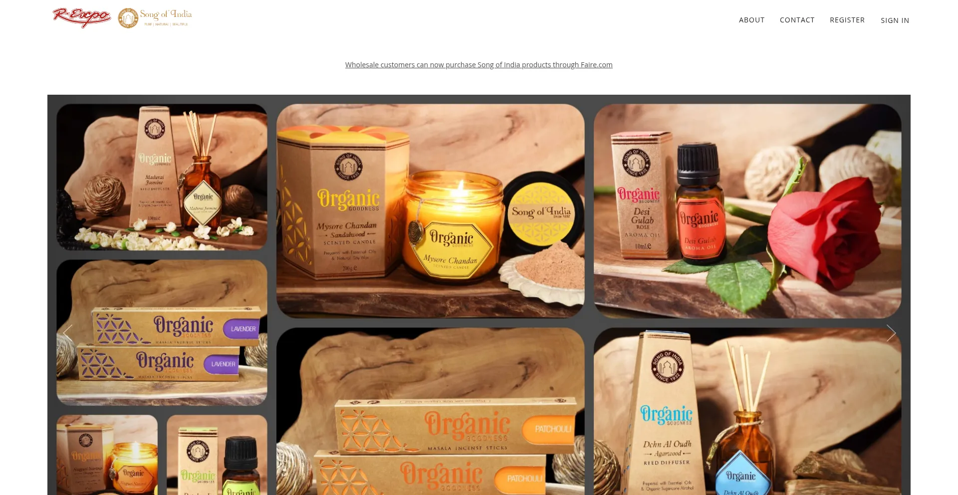 Rexpo.solovue.com Screenshot