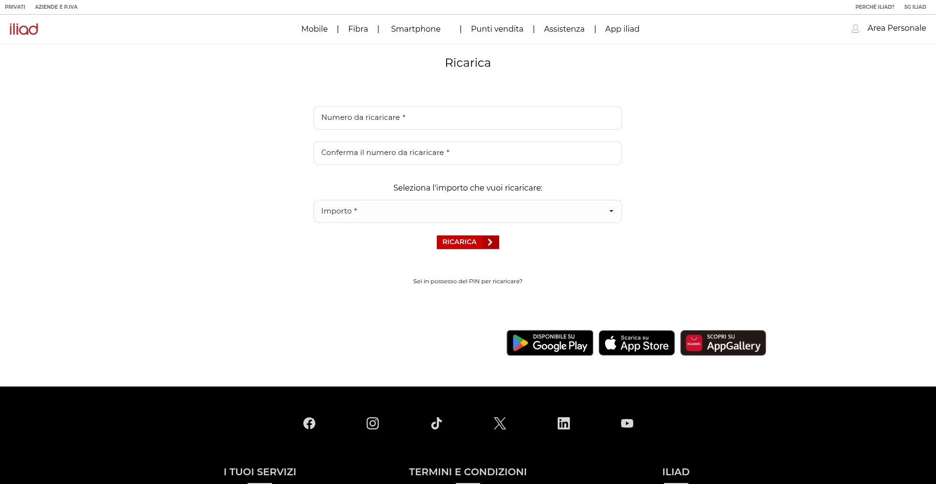 Website screenshot of Ricarlca-iliad.com