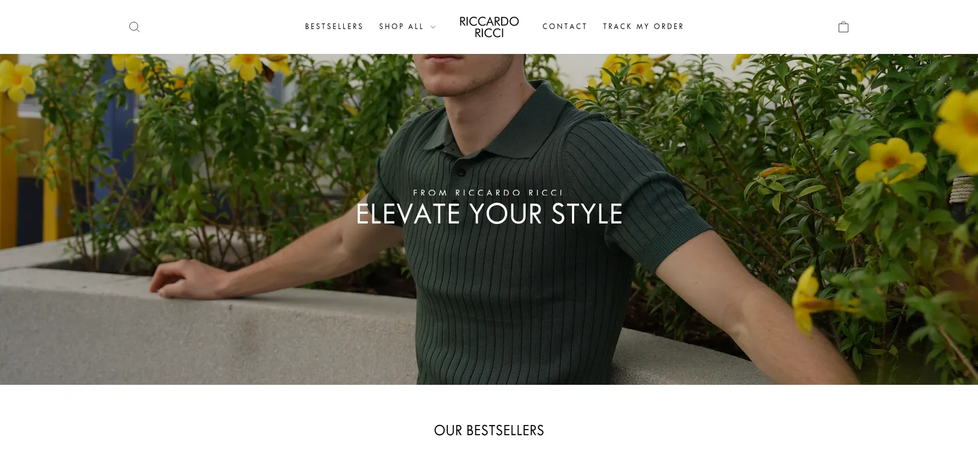 Website screenshot of Riccardoricci.co