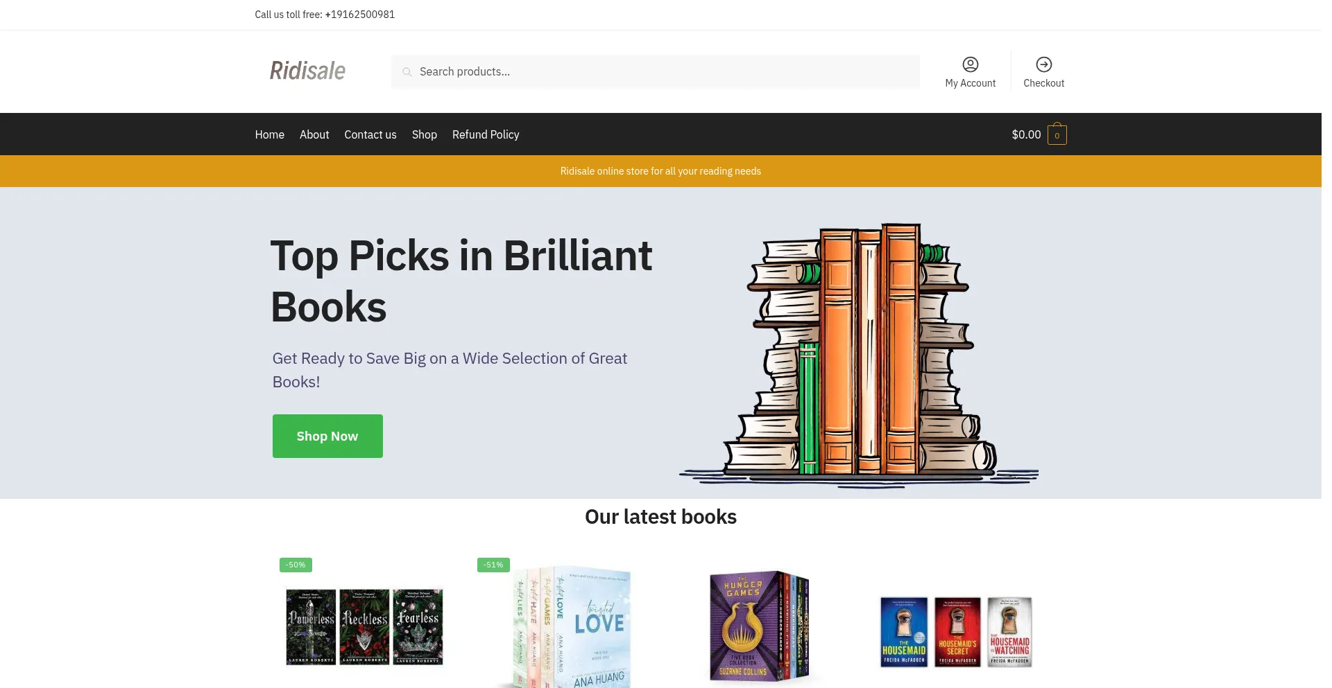 Website screenshot of Ridisale.com