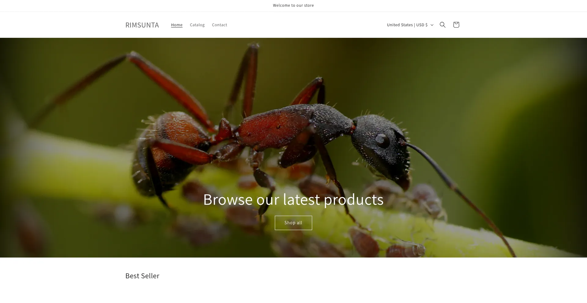 Rimsunta.com