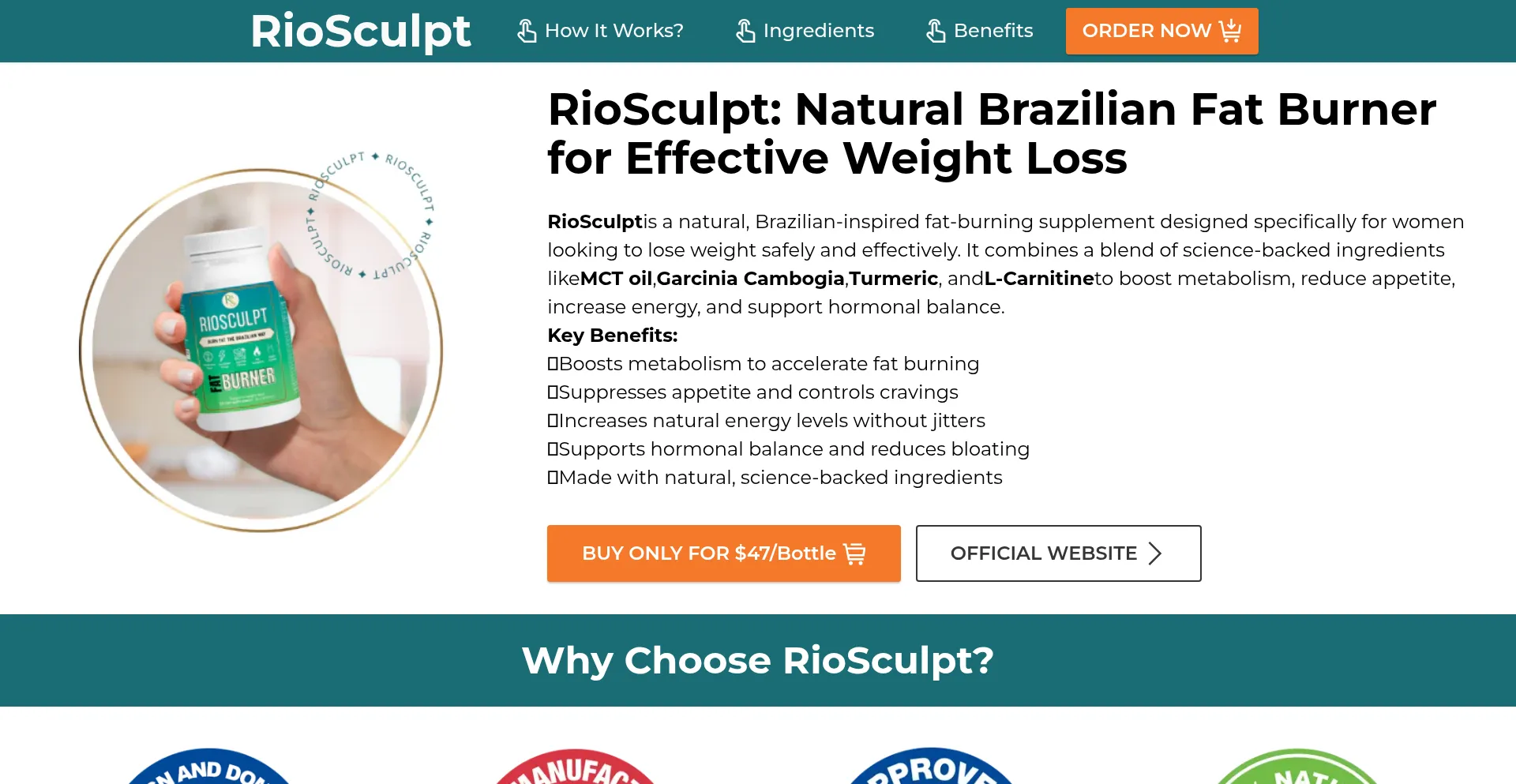 Website screenshot of Riosculpt-us.com