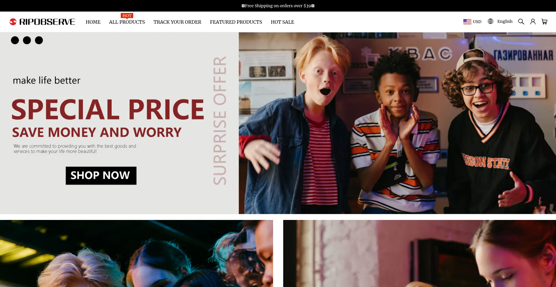 Website screenshot of Ripobserve.com