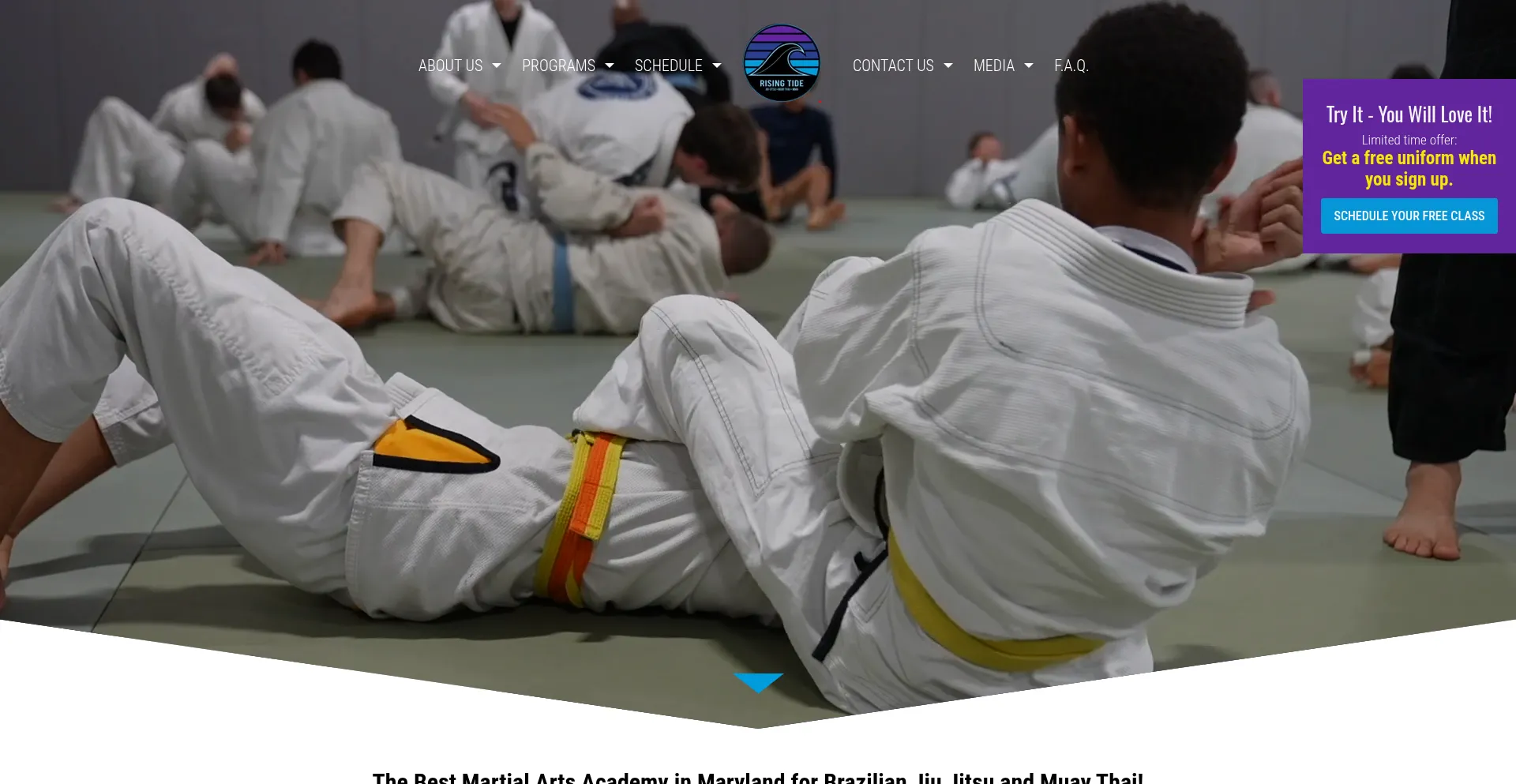 Risingtidemartialarts.us est-il Sûr et Fiable ?