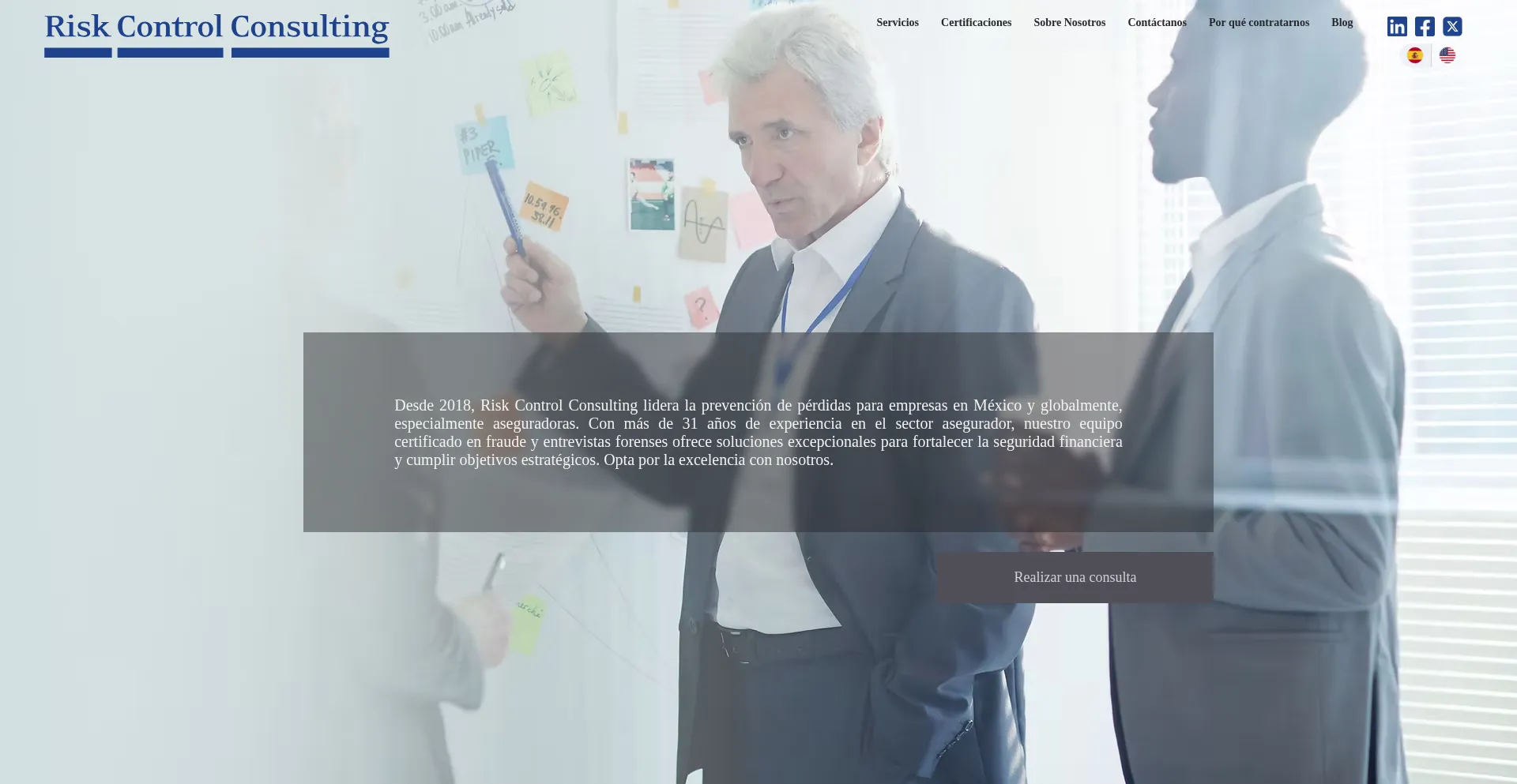 Website screenshot of Riskcontrol.consulting