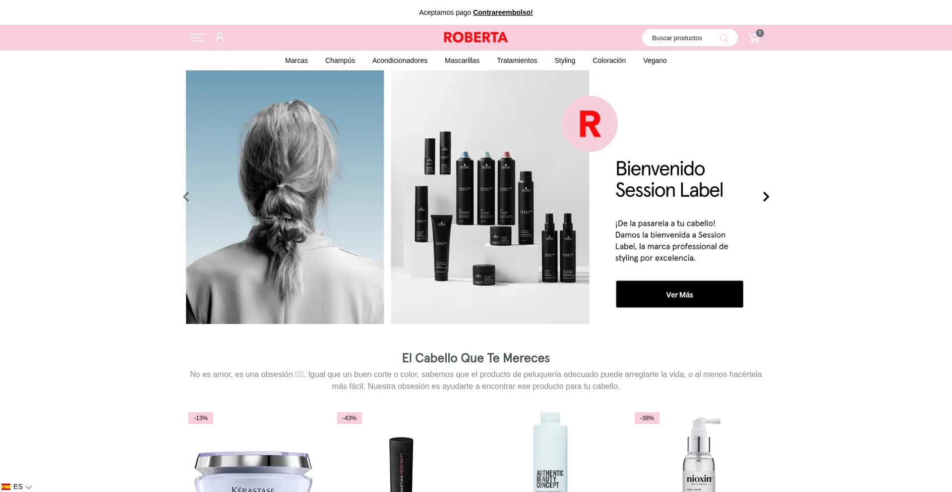 Website screenshot of Robertaonline.com