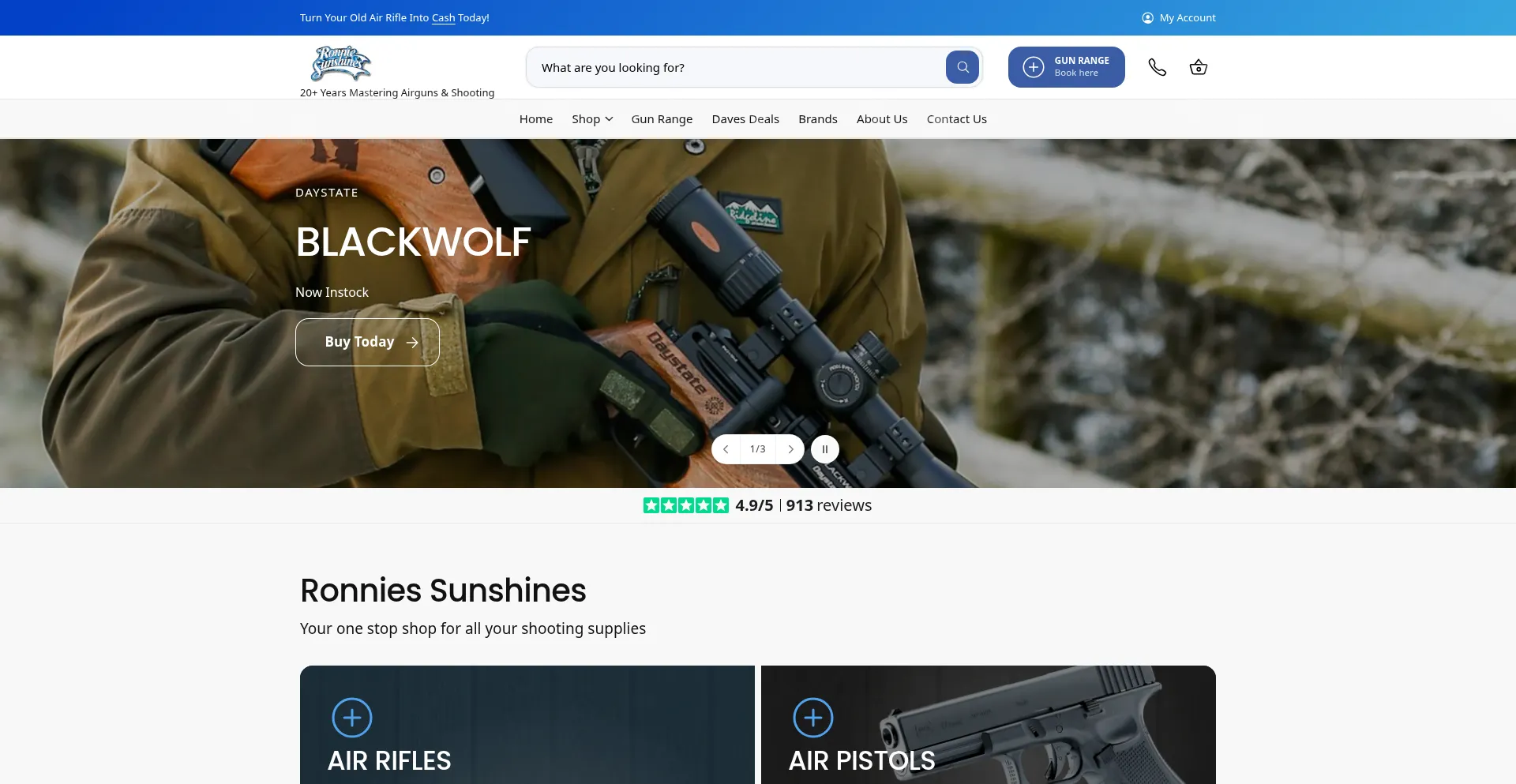 Ronniesunshines.com