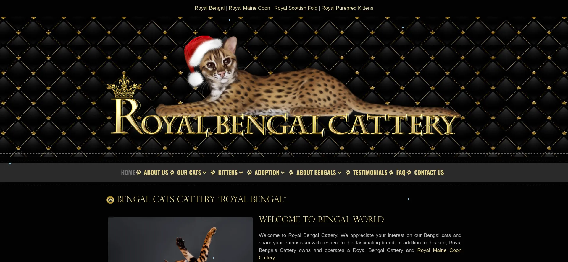 Royalbengalcattery.com