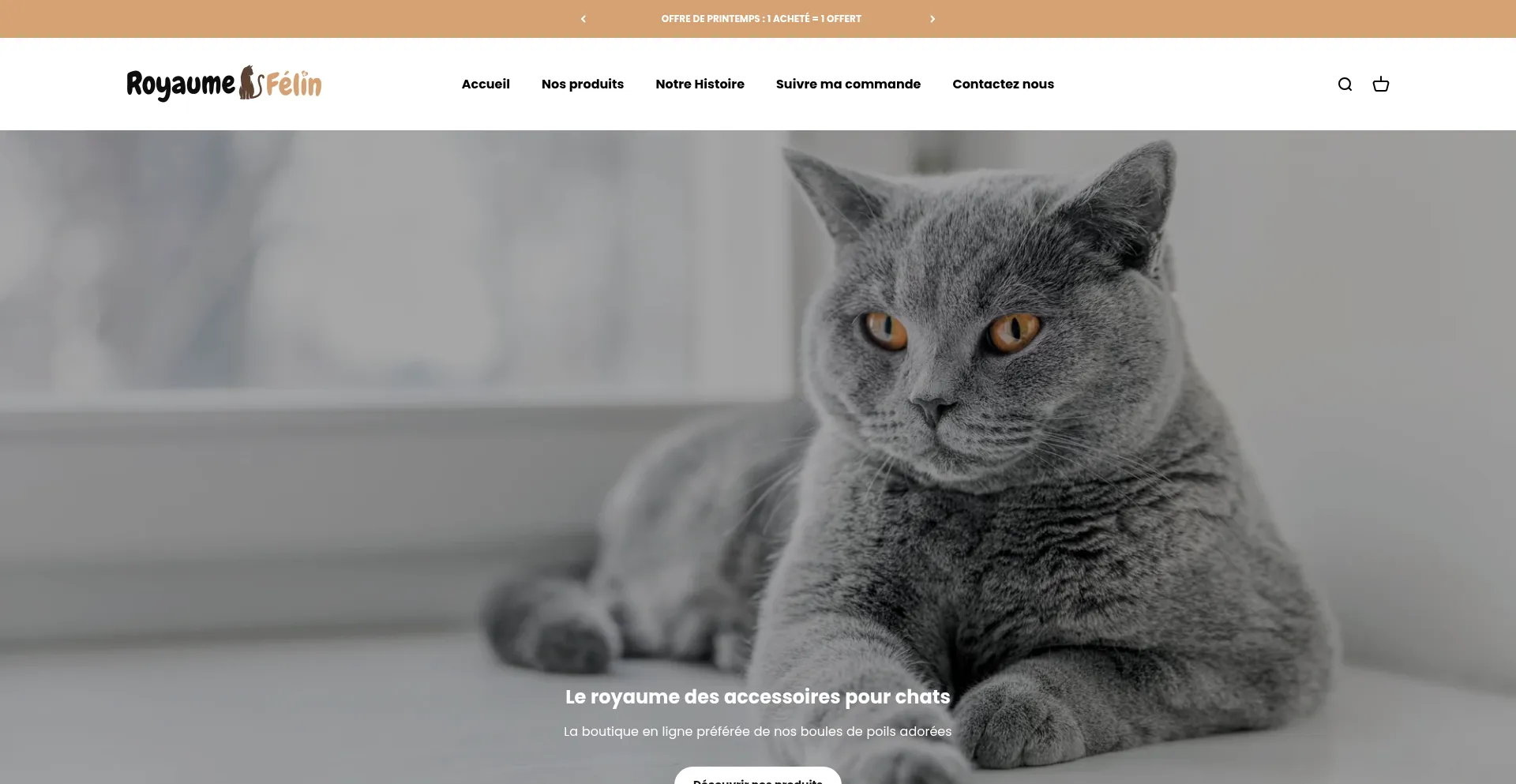 Website screenshot of Royaumefelin.fr