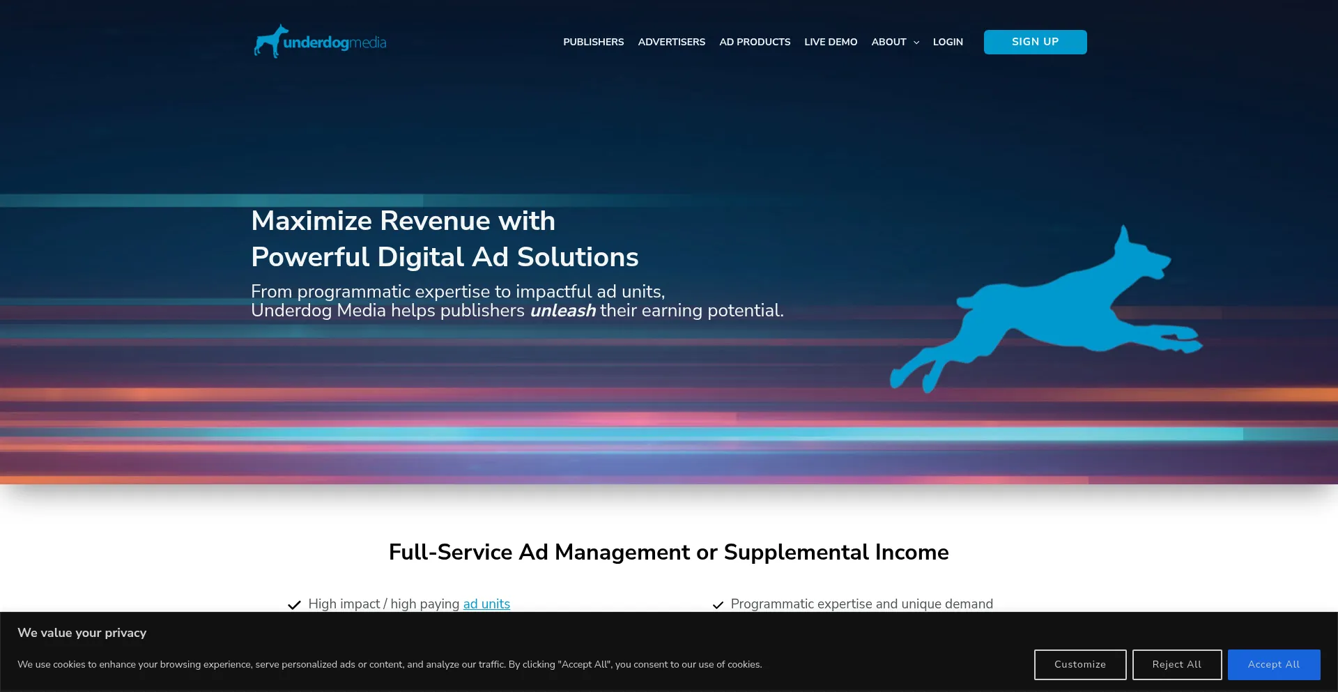 Website screenshot of Rt.udmserve.net