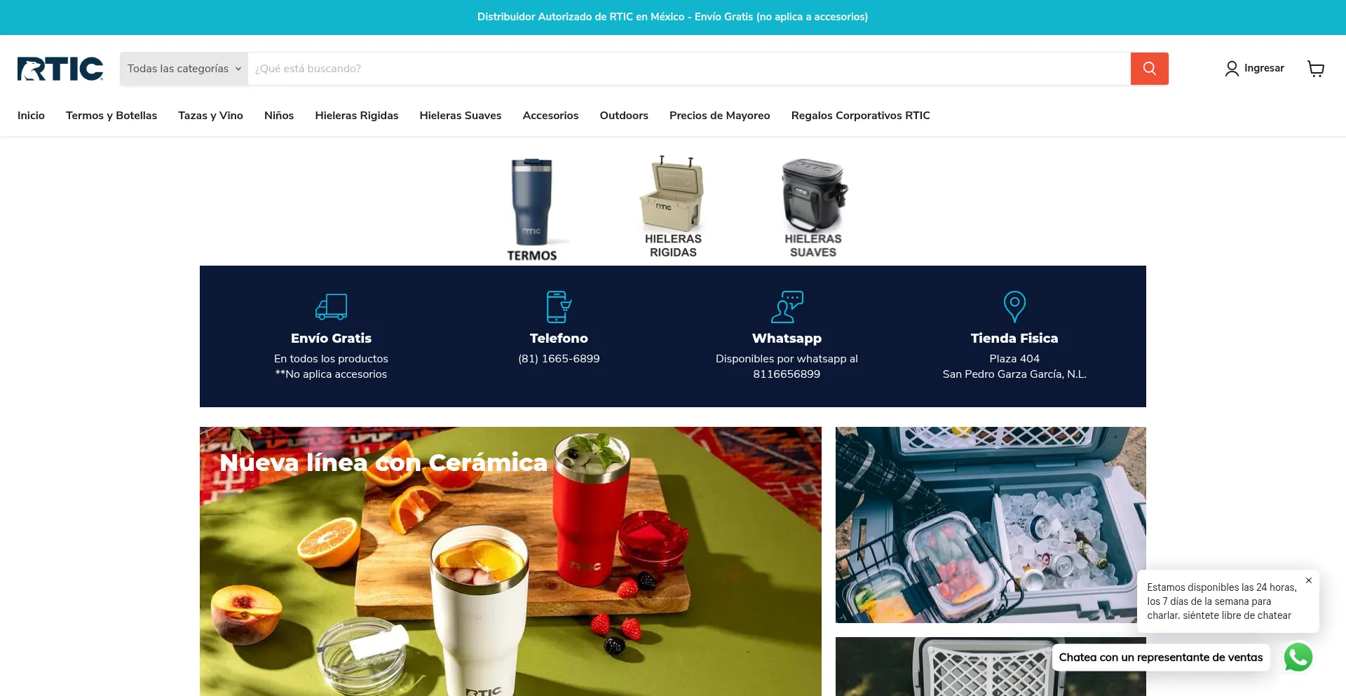 Website screenshot of Rtic.mx