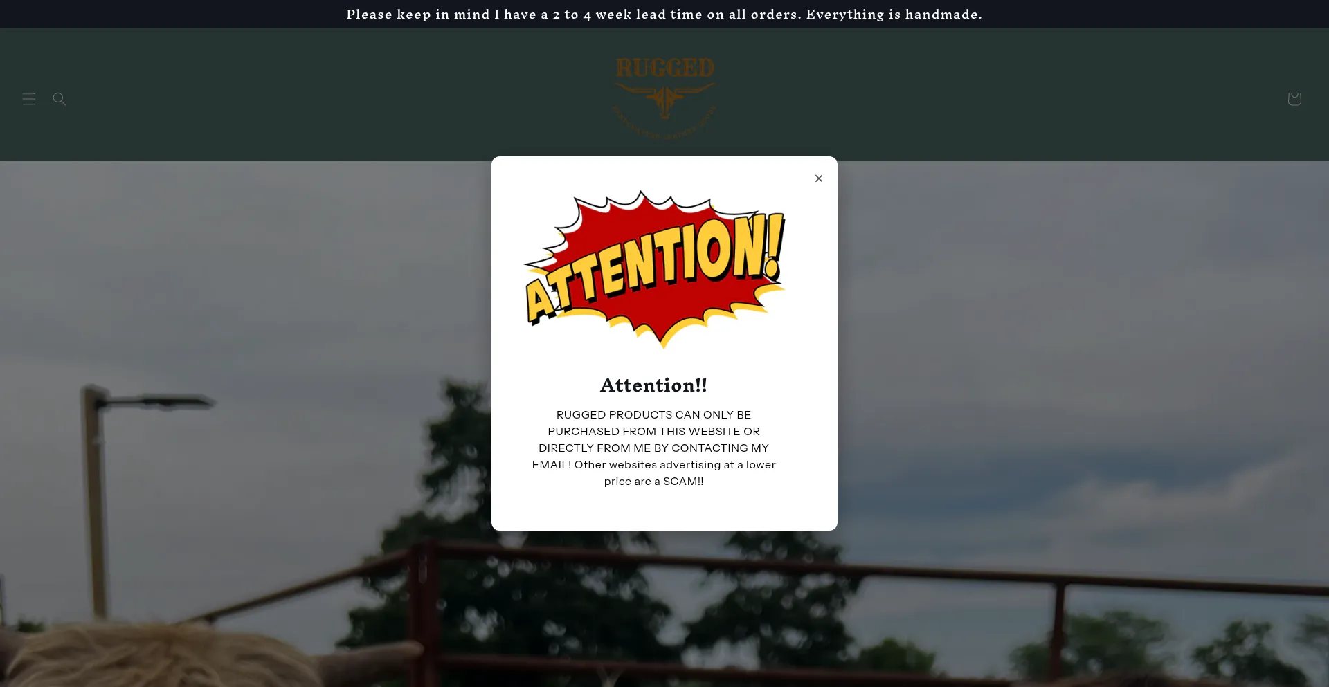 Ruggedtx.com est-il Sûr et Fiable ?