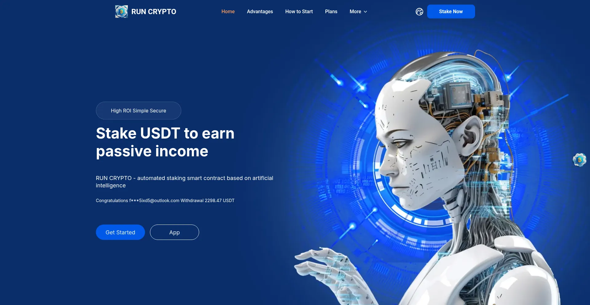 Website screenshot of Run2crypto.com