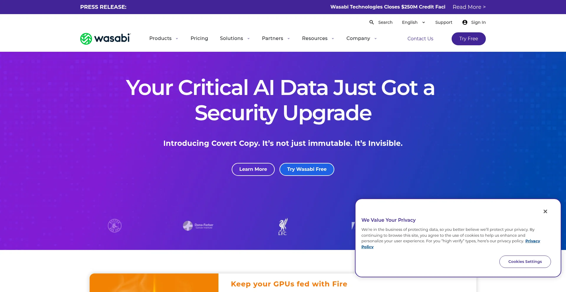 S3.ca-central-1.wasabisys.com