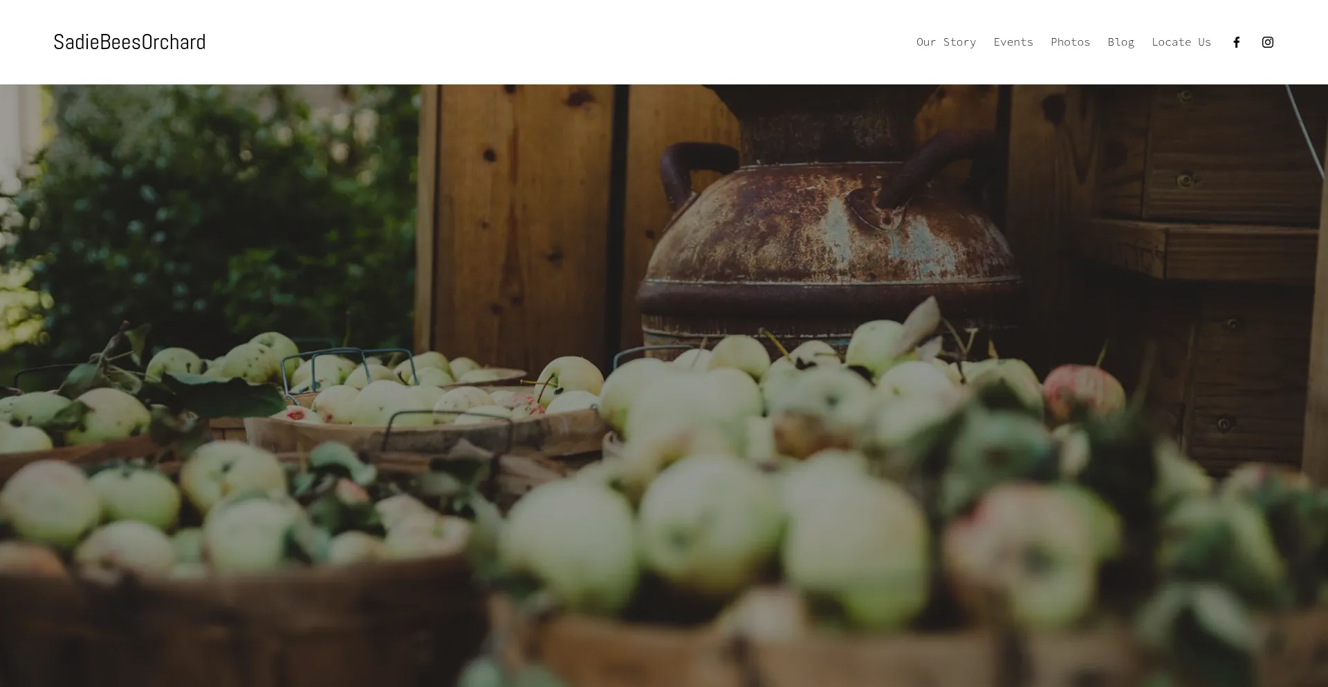 Website screenshot of Sadiebeesorchard.com