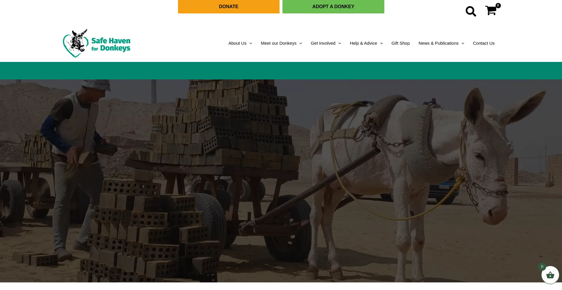 Website screenshot of Safehaven4donkeys.org