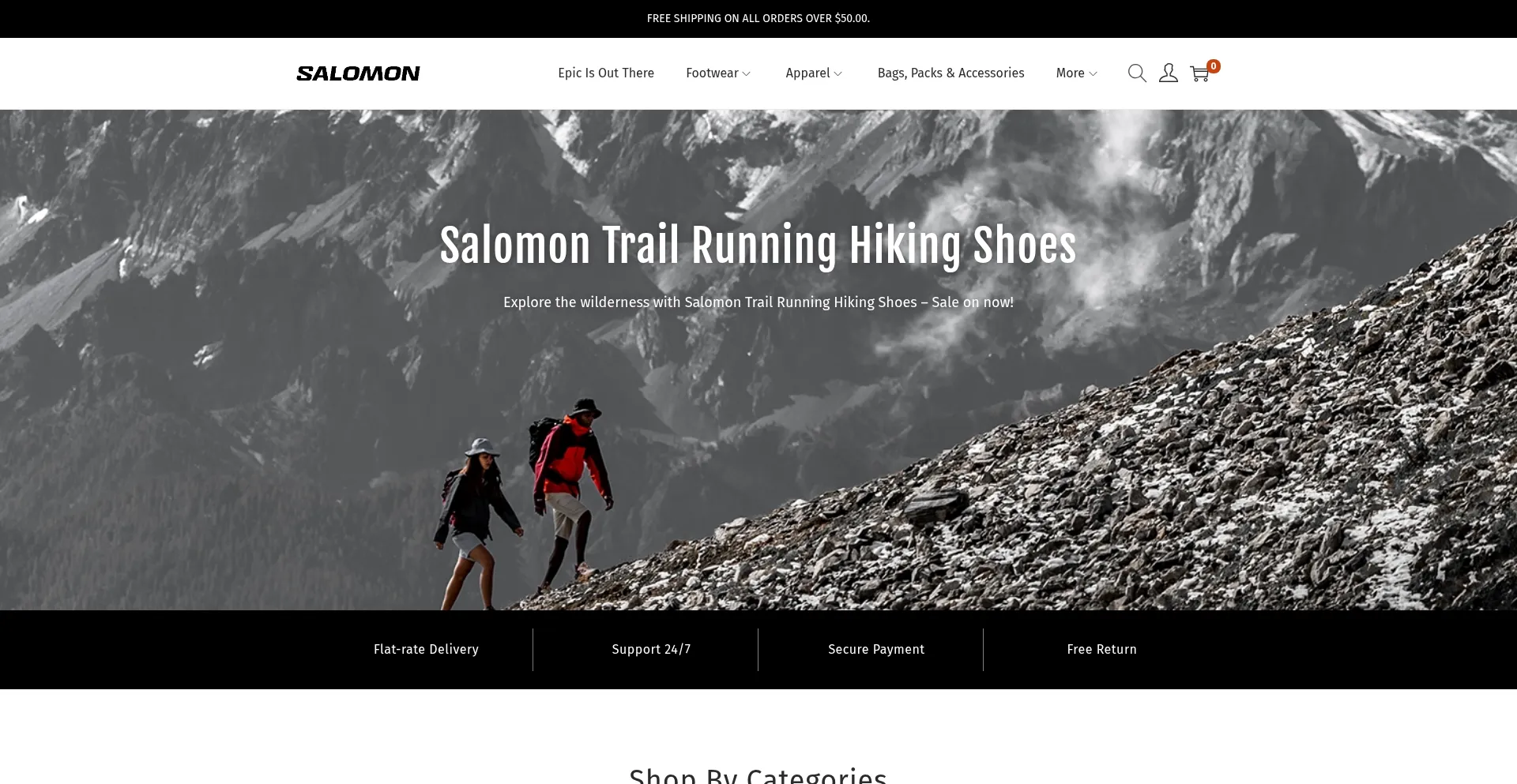 Website screenshot of Salomonone.com