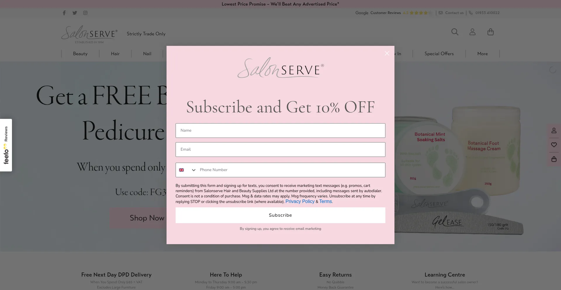 Website screenshot of Salonserve.com